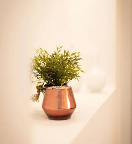 Mc San Giovanni アパート *